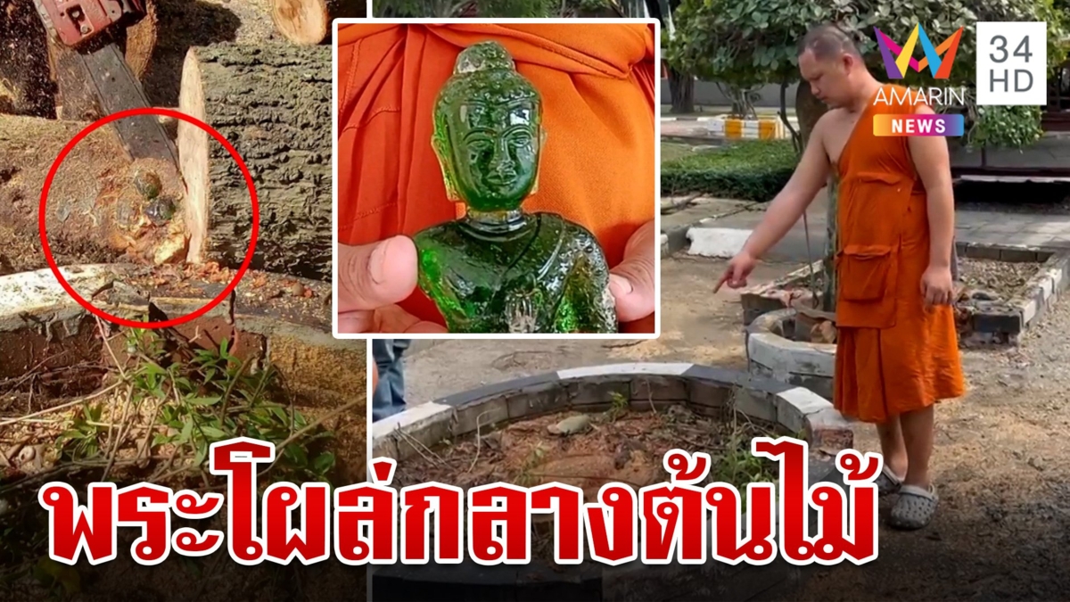 สุดฮือฮา! พระวัดดังตัดต้นไม้อายุนับ 100 ปี เจอพระแก้วมรกตฝังกลางลำต้น