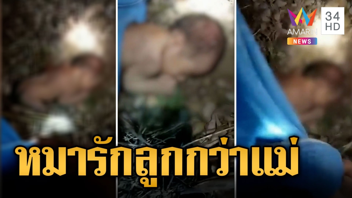 สลด! แม่ใจยักษ์ทิ้งลูกทารกกลางสวนยางไม่มีเสื้อผ้าสักชิ้น หมานั่งเฝ้าไม่ห่าง