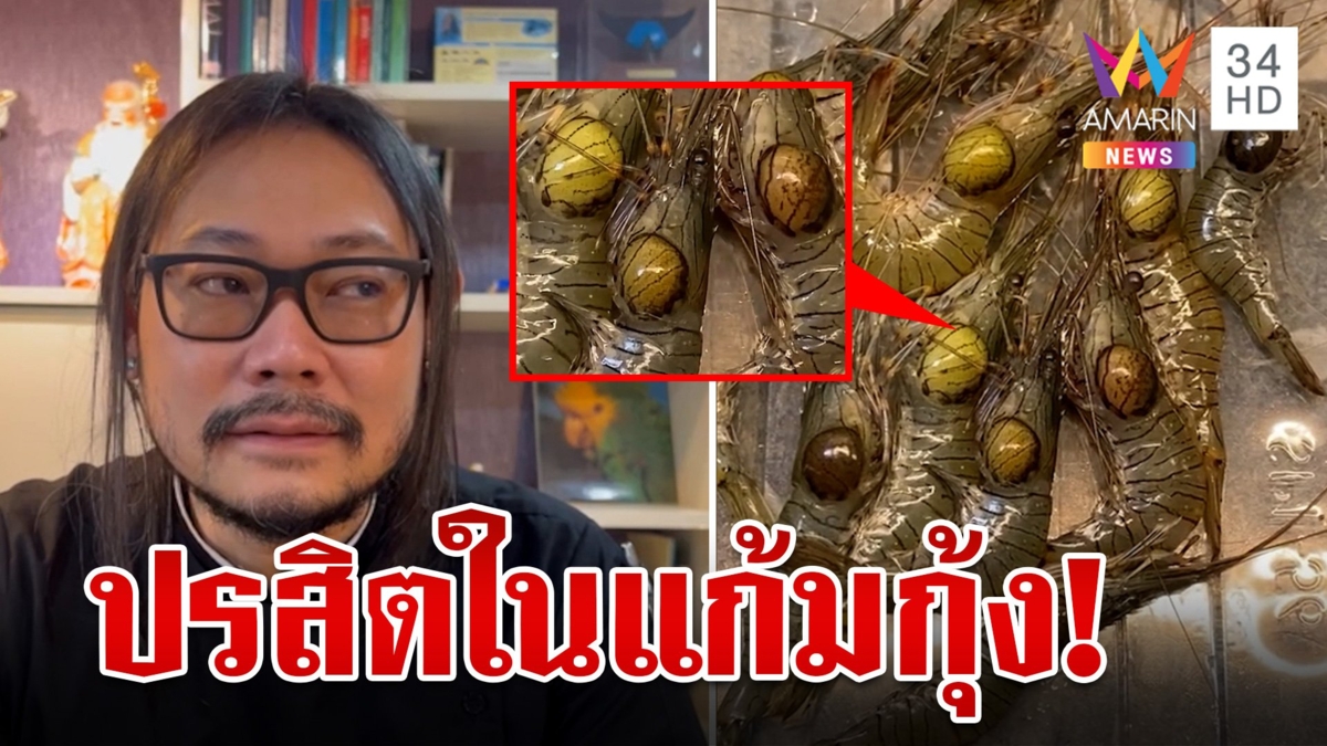 ไขข้อสงสัย! กุ้งแก้มบวมเหมือนสัตว์ประหลาด ผู้เชี่ยวชาญเผยกินได้แต่ต้องทำให้สุก