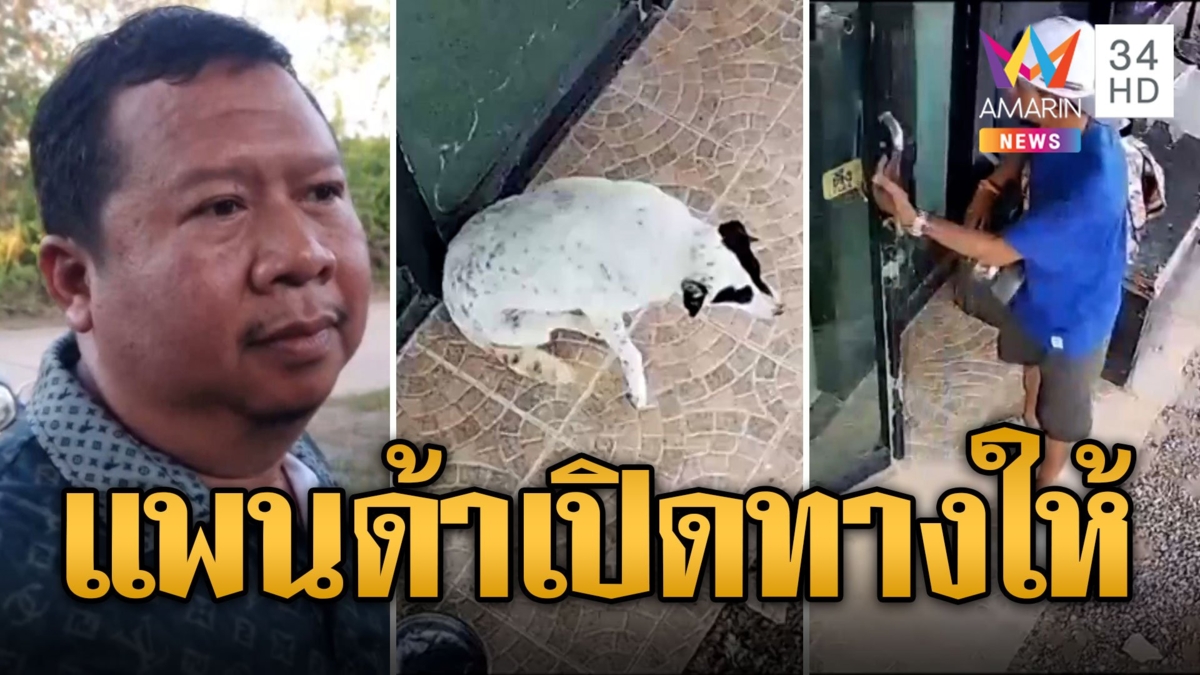หมาหรือแพนด้า โจรขึ้นบ้านเงียบกริบ ไม่เห่าเรียกซักนิดแถมหลีกทางให้พี่เขาด้วย