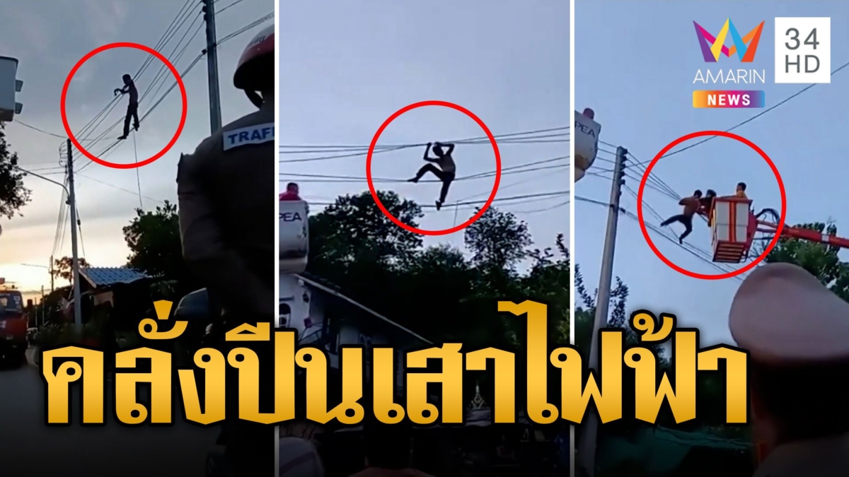 ไปโดนตัวไหนมา! หนุ่มคลั่งปีนเสาไฟฟ้า-เดินไต่สายไฟ หวั่นถูกย่างสด