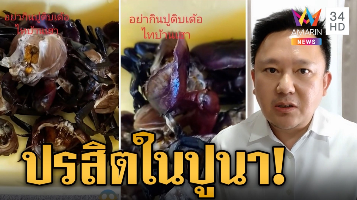 อวสานเมนูปูนา! สาวอ้วกแทบพุ่งเจอปลิงเข็มเต็มตัวปูนา แพทย์เตือนเสี่ยงพยาธิหลายชนิด