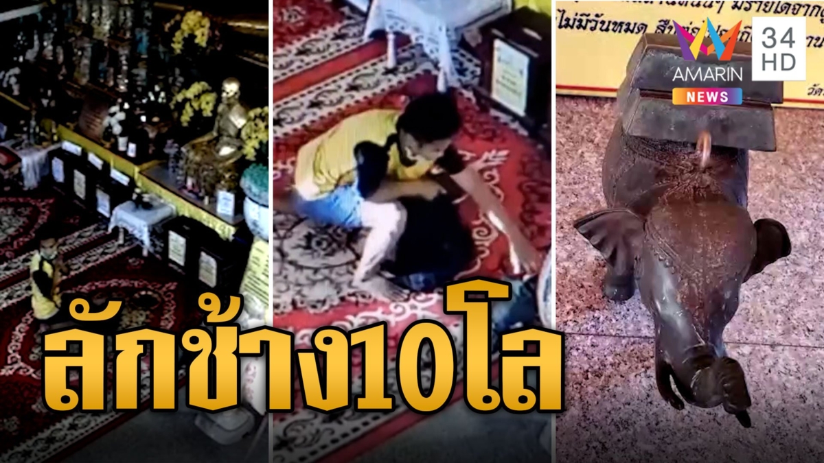 กราบพระโชว์กล้อง ก่อนหอบช้างเสี่ยงทาย 10 โลหนี สุดท้ายโดนรวบ