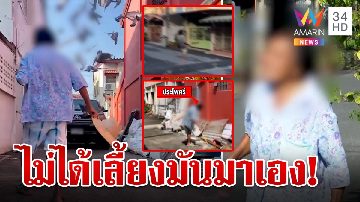 แฉป้านกพิราบใจบุญไม่หยุด สื่อฯ บุกฉะยับฉันไม่ได้เลี้ยงแล้วจะเอาอะไรอีก