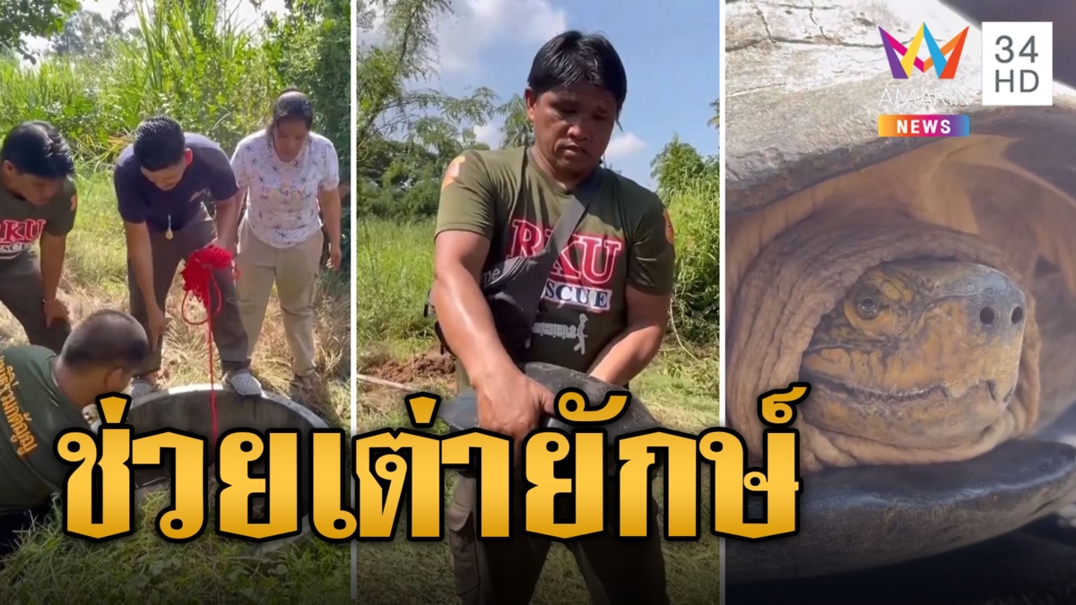 กู้ชีพช่วยน้องเต่ายักษ์ ตกบ่อน้ำลึก 10 เมตร