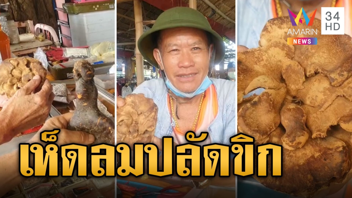 สุดแปลก! เห็ดลมมีปลัดขิกโผล่กลางดอก พ่อค้าเชื่อให้โชคลาภ