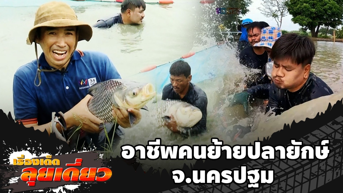 เรื่องเด็ดลุยเดี่ยว | อาชีพคนย้ายปลายักษ์ จ.นครปฐม