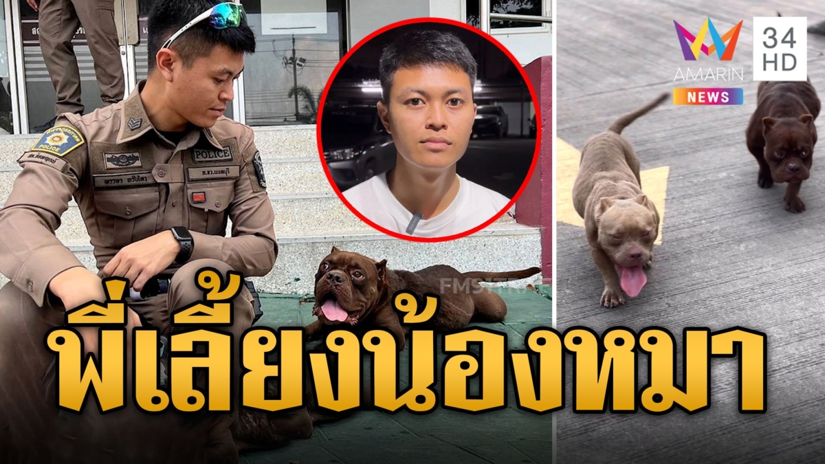 ตร.รับบทพี่เลี้ยงน้องหมาอเมริกันบูลลี่ ตามหาเจ้าของเอาหลักฐานรับคืน