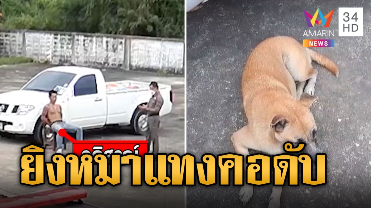 หนุ่มสักยากูซ่า ฉุนลุงรปภ.หนังสติ๊กยิงหมา คว้ามีดแทงดับ