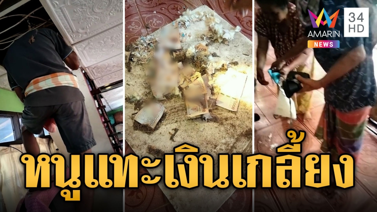 เงินหาย! ตายายเก็บเงินบนฝ้าเพดาน หนูแสบแทะเงิน 4 หมื่นเอาไปทำรัง