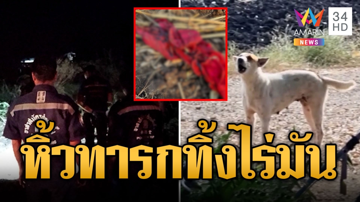 ผงะ! น้องหมาคาบชิ้นส่วนทารก ถูกทิ้งในไร่มันออกมาให้เจ้าของ