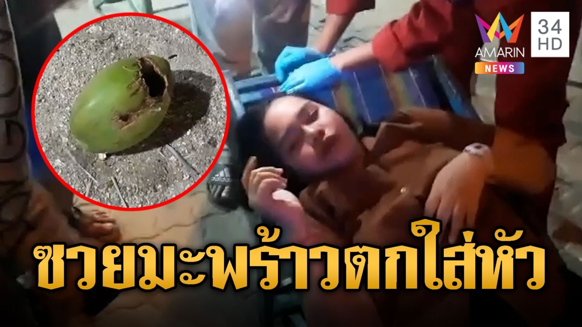 นทท.ซวย นั่งกินลมริททะเล ลูกมะพร้าวตกใส่หัวเจ็บ