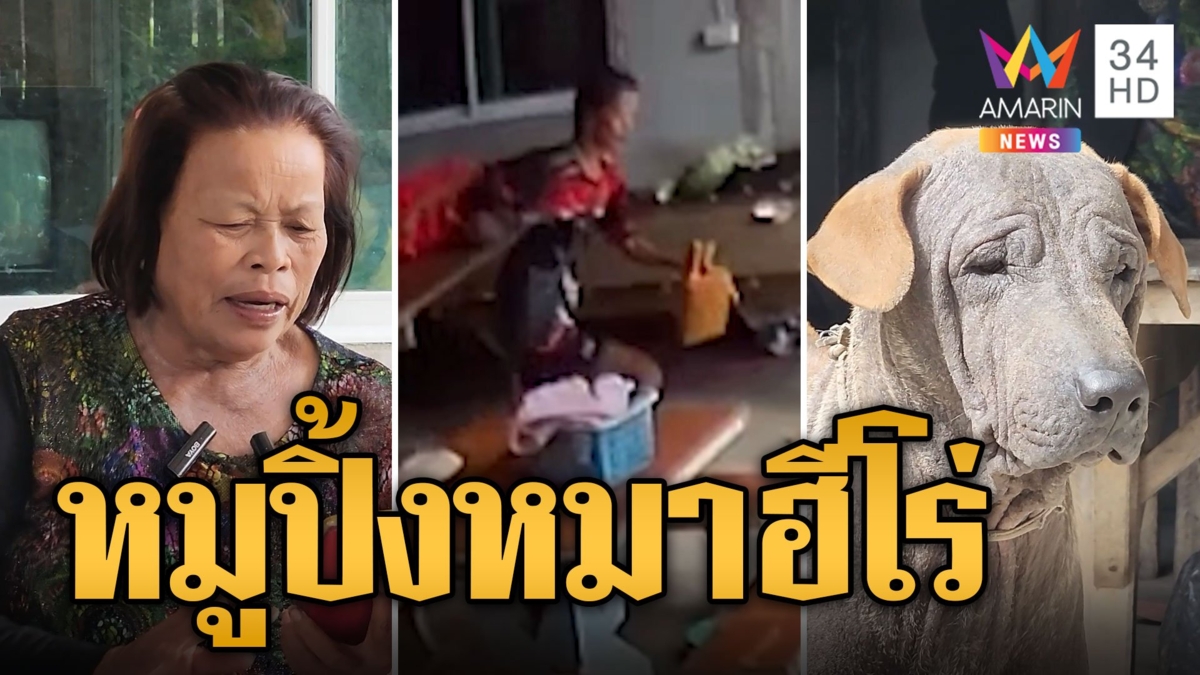 สาวย่องเบาฉกกระเป๋ายาย เจ้าหมูปิ้งหมาฮีโร่ เห่าตะเพิดหนีแทบไม่ทัน