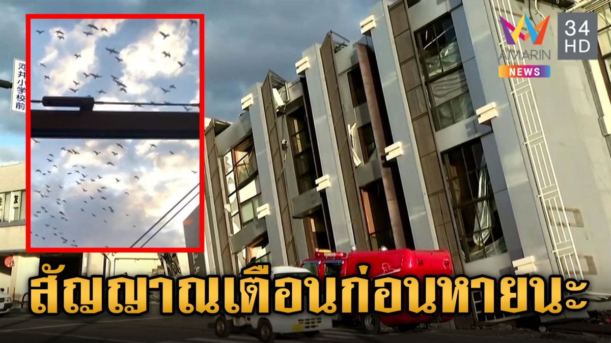 เปิดความเสียหายแผ่นดินไหวญี่ปุ่น ชาวเน็ตแห่แชร์คลิปฝูงนกบินแตกตื่นก่อนเกิดสึนามิ