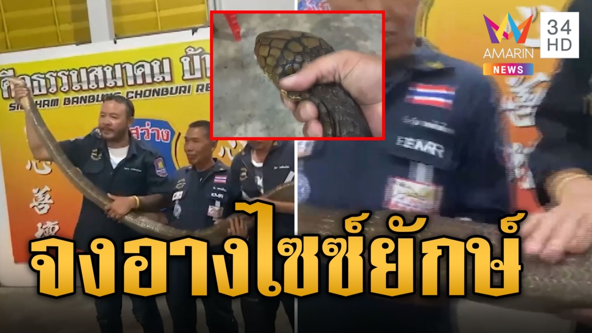 งูจงอางตัวยักษ์ยาว 4 เมตร อยากออกรอบเข้าสนามไดร์ฟกอล์ฟ