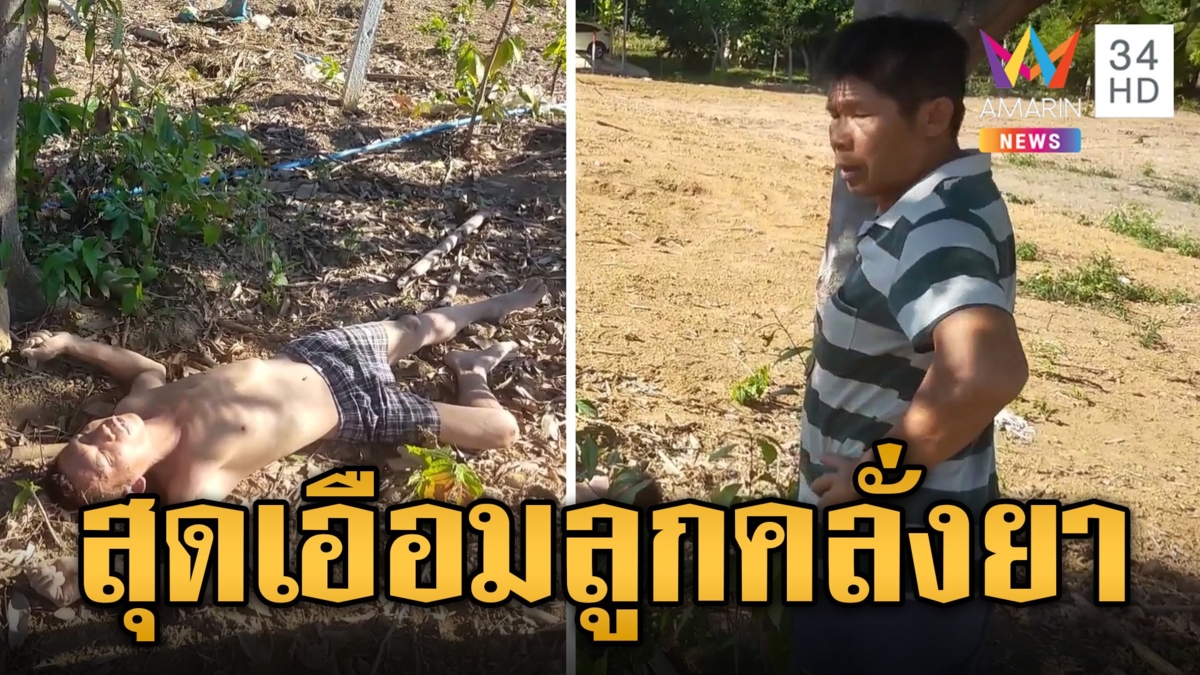 ลูกคลั่งยาทรพีทำร้ายพ่อแม่ ยืนมองสุดเอือมนอนหมดสติข้างต้นไม้