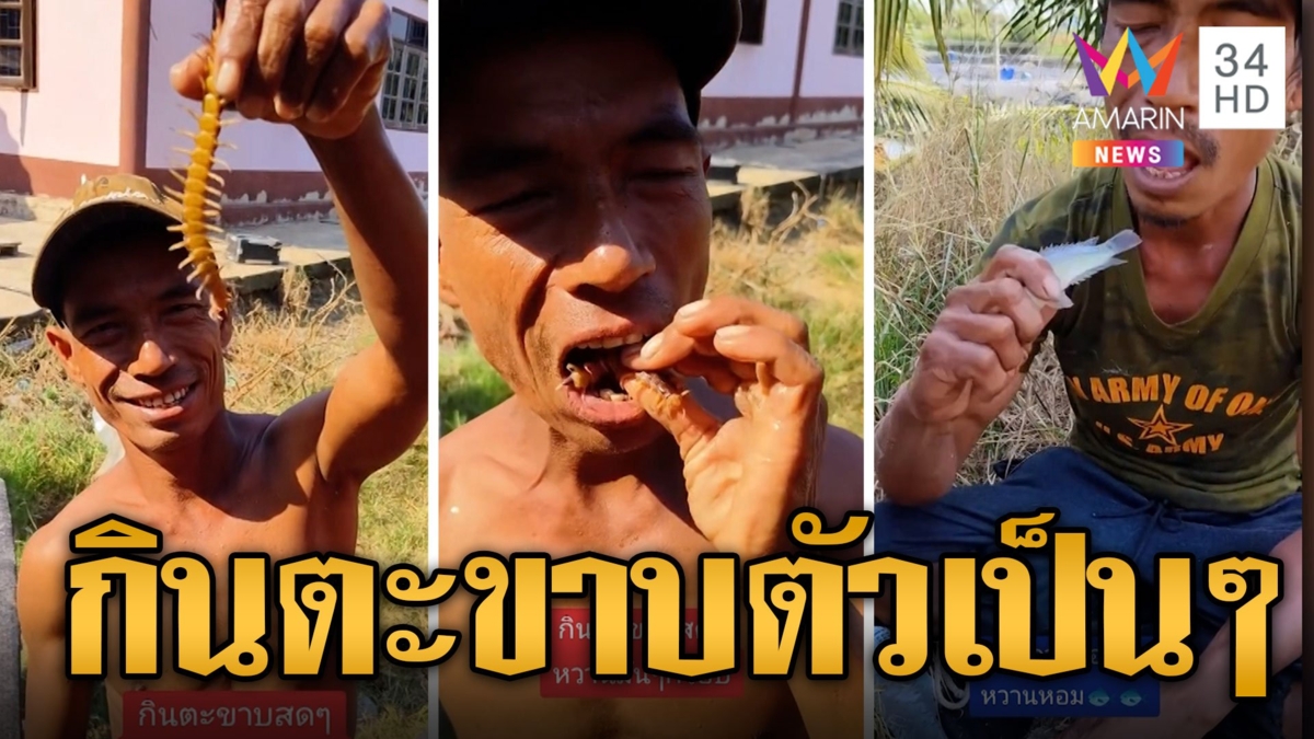 หนุ่มกินตะขาบตัวเป็นๆ เคี้ยวกรุบๆ บอกหวานเหมือนกินกุ้ง