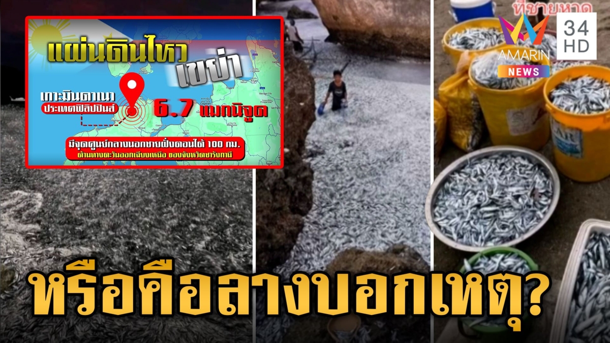 สัญญาณจากธรรมชาติ? ฝูงปลาเกยตื้นก่อนฟิลิปปินส์แผ่นดินไหว 6.7