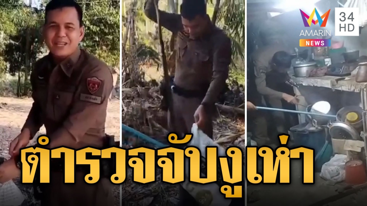 เหนื่อยลมแทบจับ! ตำรวจจับงูเห่า ร้องลั่นจับผู้ร้ายง่ายกว่าเยอะ