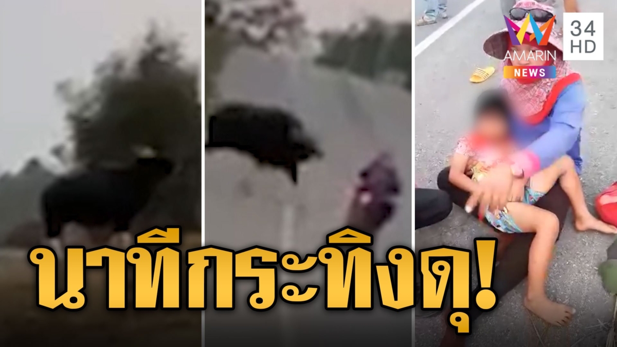 เปิดนาทีกระทิงดุ! วิ่งพุ่งชนสนั่น แม่-ลูกควบจยย.เจ็บ