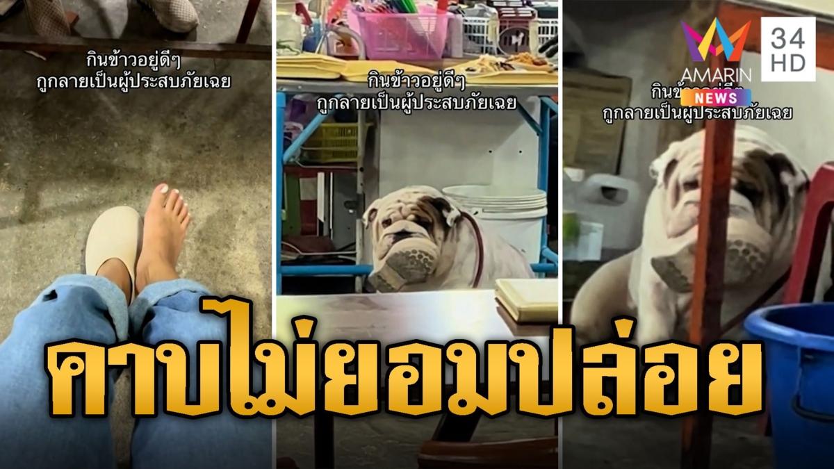 จากลูกค้ากลายเป็นผู้ประสบภัย! นั่งกินข้าวอยู่ดีๆ น้องหมาคาบรองเท้าไม่ยอมปล่อย