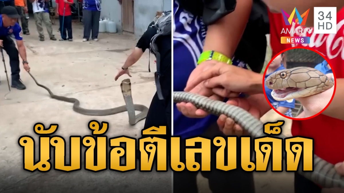 จงอางตัวดำใหญ่ยักษ์ เลื้อยเข้าบ้าน คอหวยไม่พลาดนับข้อใต้ท้องตีเลขเด็ด