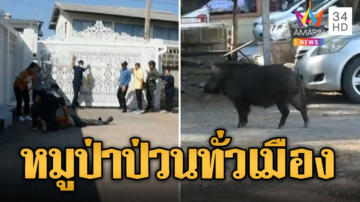หมูป่าจอมป่วน กู้ภัยไล่จับวุ่นประตูเหล็กทับสาหัส