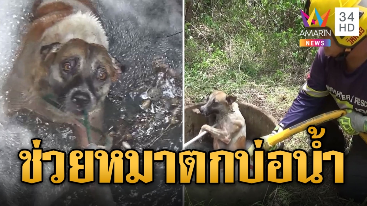 ทุลักทุเลช่วยน้องหมาตกบ่อน้ำลึก 10 เมตร