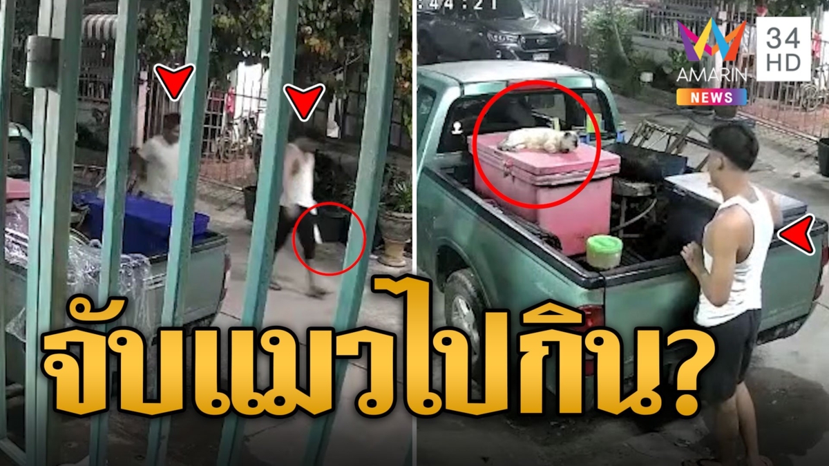 แม่ค้าสุดทน! หมาแมวหายปริศนา หวั่นโดนจับไปกิน