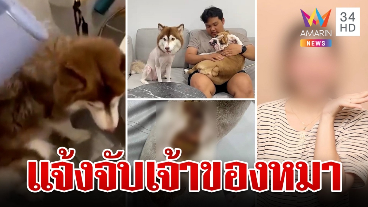 ด่าเละ!สาวใจเหี้ยมราดน้ำร้อนใส่ไซบีเรียนท้อง "วอชด็อก" แจ้งจับเจ้าของ