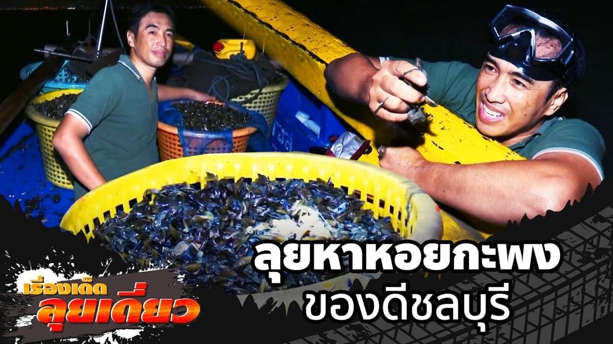 เรื่องเด็ดลุยเดี่ยว | ลุยหาหอยกะพง ของดีชลบุรี จ.ชลบุรี