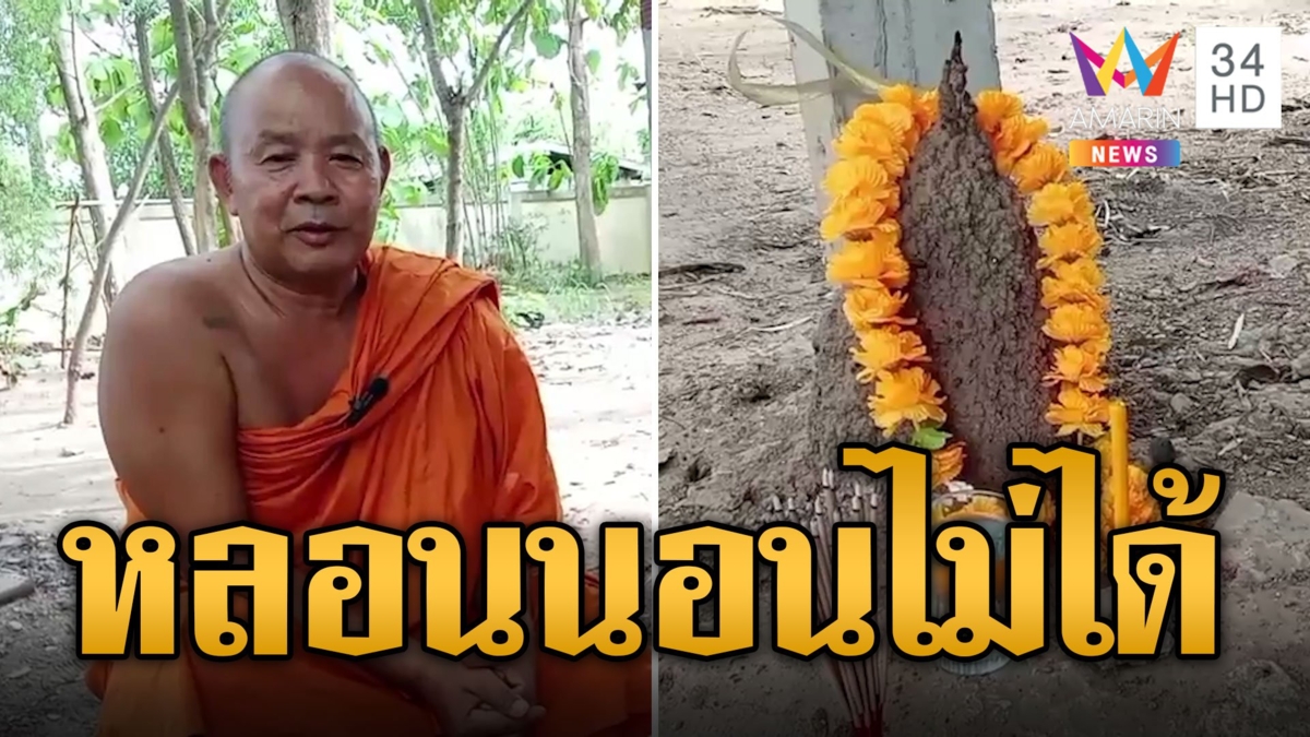 หลอนจนนอนไม่ได้ จอมปลวกคล้ายพระโผล่ใต้กุฏิ