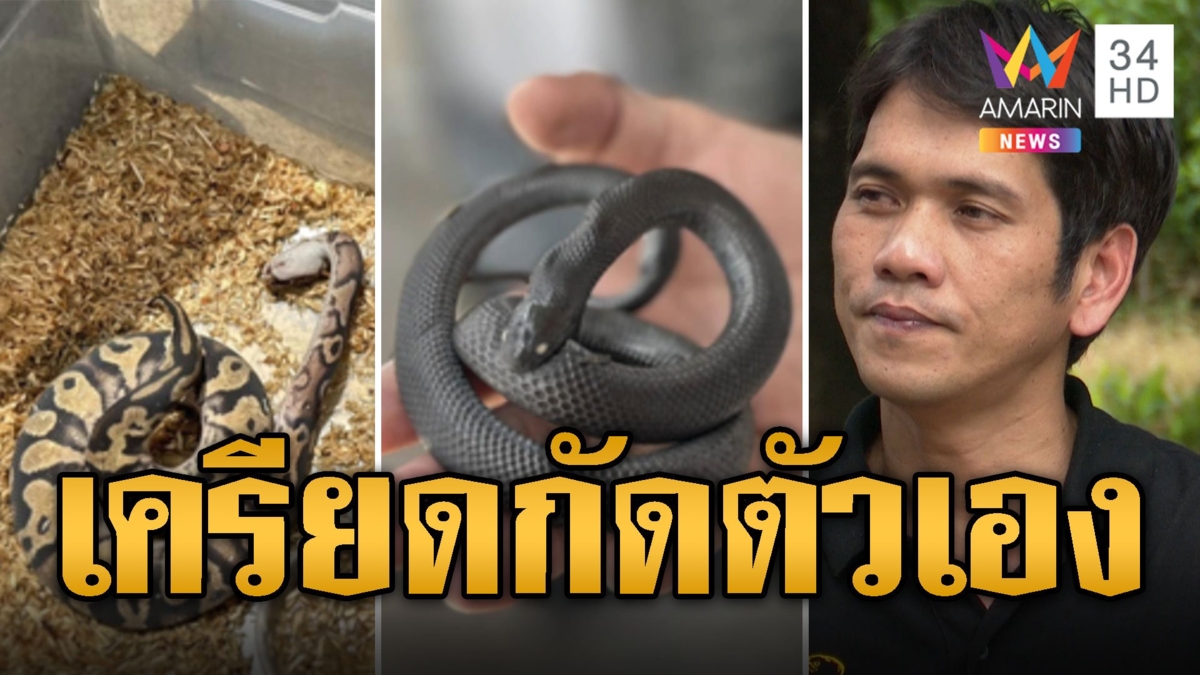 ไขข้อสงสัย งูกัดตัวเอง ที่แท้เครียดจากไฟไหม้
