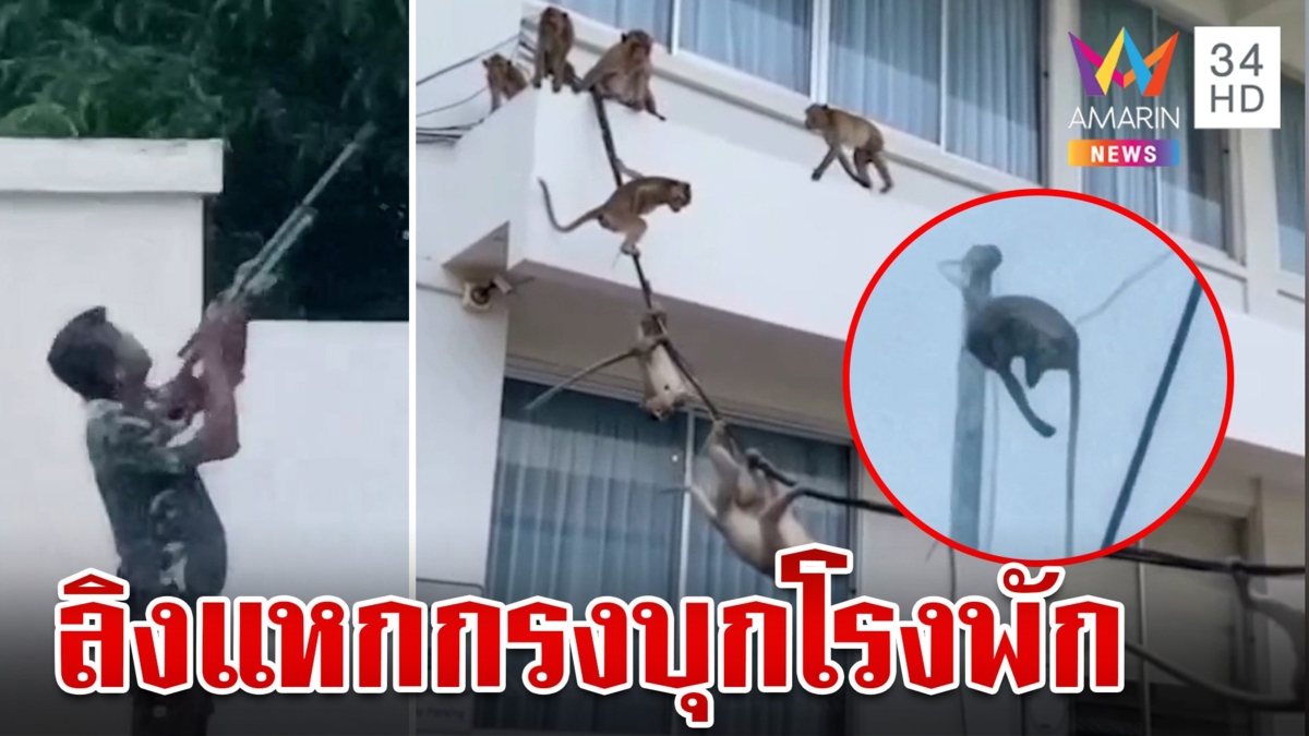 "ไอ้เครา" ลิงหัวโจกยกพวกบุกโรงพักป่วนตำรวจ คาดมาแก้แค้น