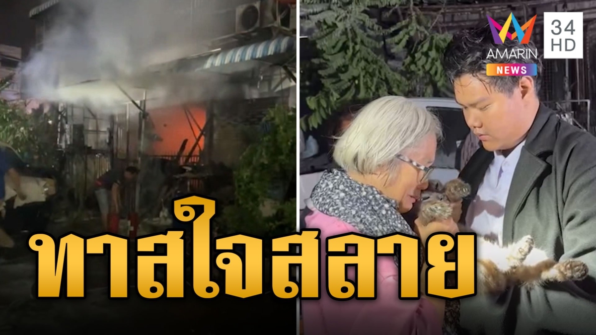 ทาสใจสลาย ไฟไหม้บ้านแมวหนีไม่ทันตาย 21 ตัว