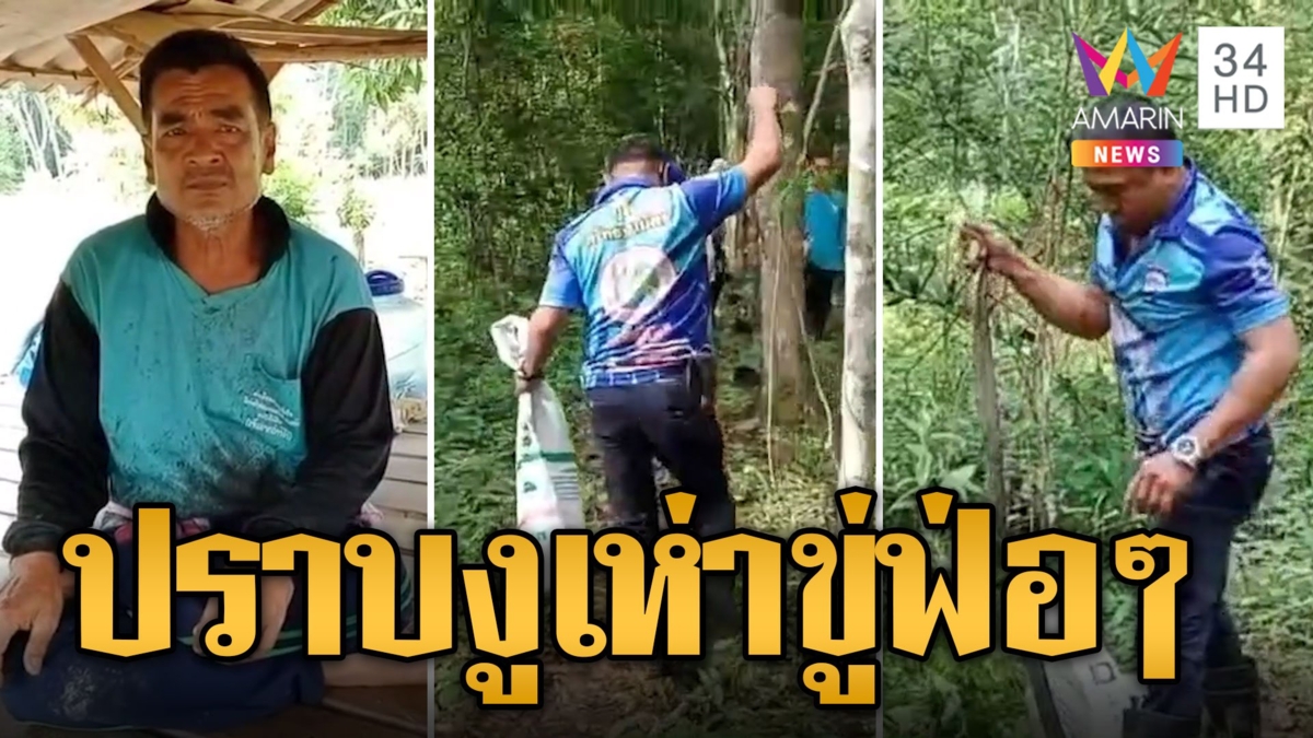 กู้ภัยบุกสวนยาง ปราบงูเห่าขู่คนกรีดยางฟ่อๆ