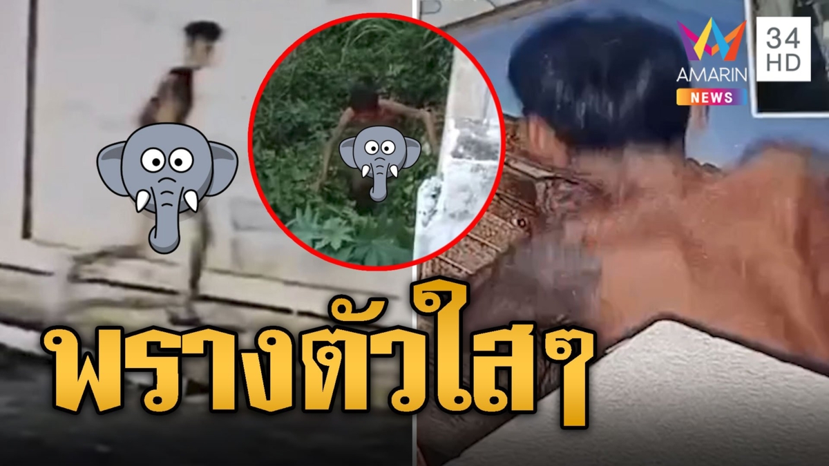 พรางตัวยังไงให้โลกจำ หัวขโมยชีเปลือยย่องฉกแซลม่อน