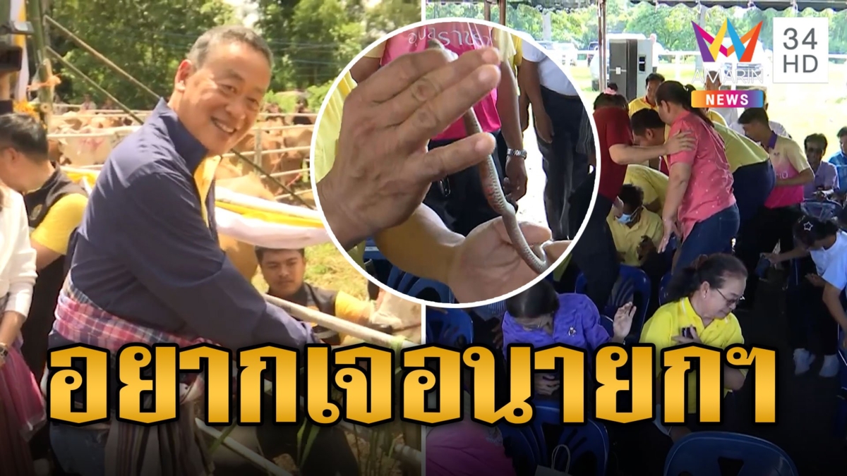 กรี๊ดลั่น! งูอยากเจอนายกฯ โผล่กลางวงชาวบ้านหนีกระเจิง