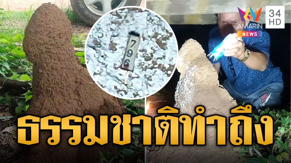 จอมปลวกทรงคุ้นๆ ชี้โด่ใต้กระท่อมชาวบ้านแห่โรยแป้ง