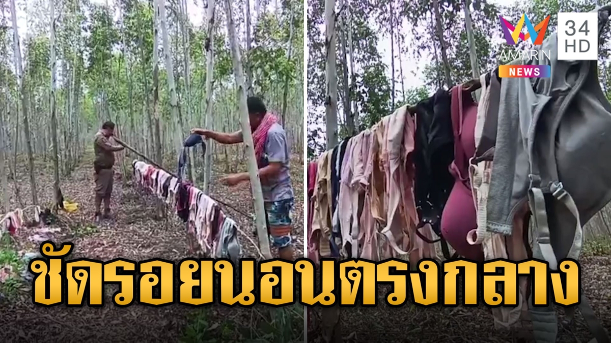 หนุ่มผงะ! เจอของสะสมโรคจิต เสื้อใน-กกน. ตากเพียบกลางป่ายูคา