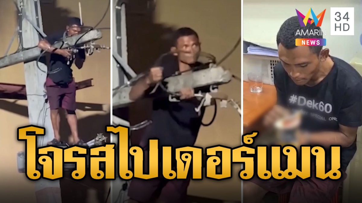 โจรสไปเดอร์แมน ปีนเสาลักสายไฟ อ้างหาเงินกินข้าว
