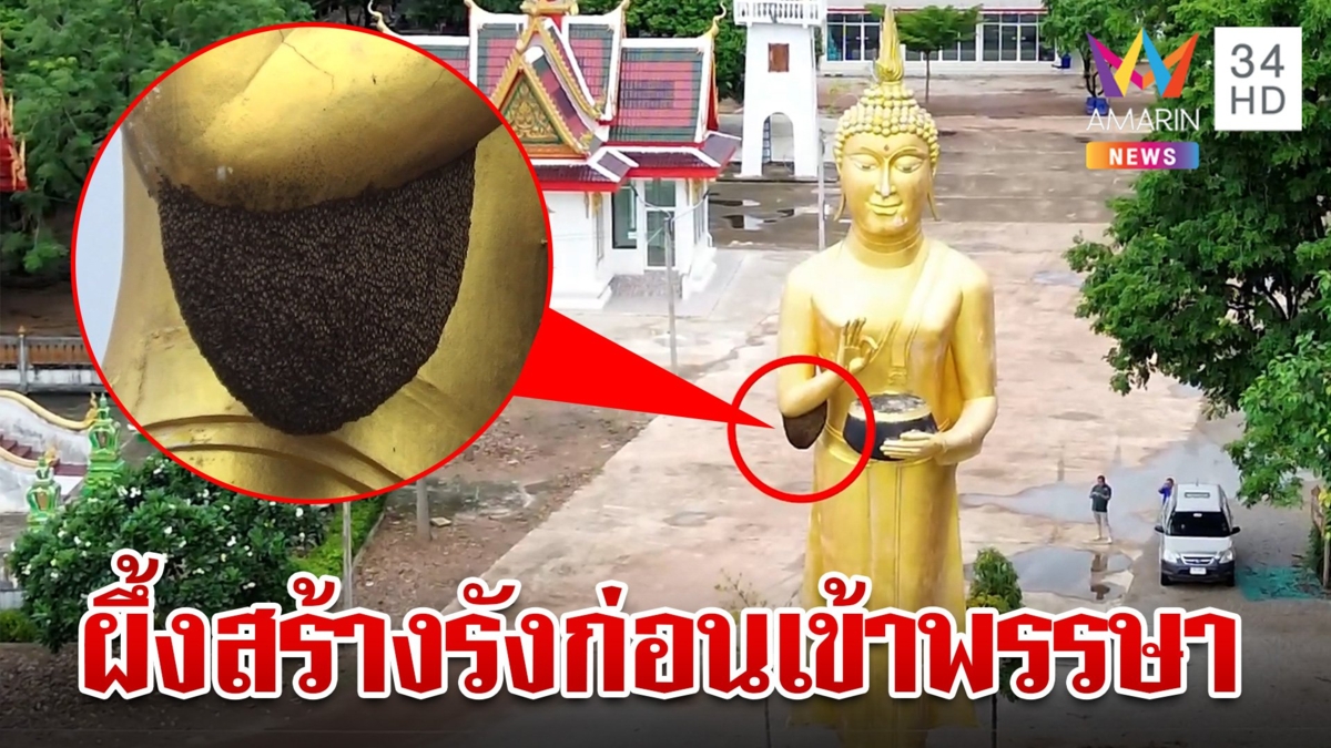 สุดทึ่ง!ผึ้งหลวงสร้างรังบนพระประธานสูง 15 เมตร ก่อนเข้าพรรษาทุกปี