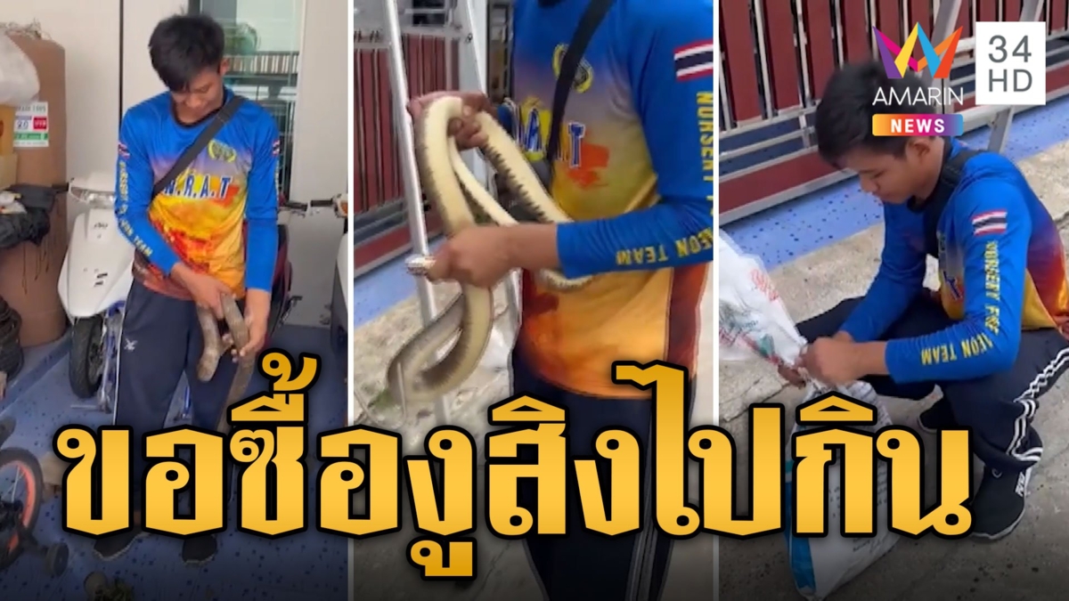 หัวจะปวด! กู้ภัยจับ “งูสิง” ลุงข้างบ้านขอซื้อไปแกล้มเหล้า
