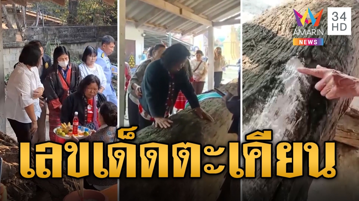 ส่องเลขเด็ดพิธียกไม้ตะเคียน ป้าเกิดอาการแปลกคล้ายถูกสิงร่าง ชาวบ้านแห่ขอโชค