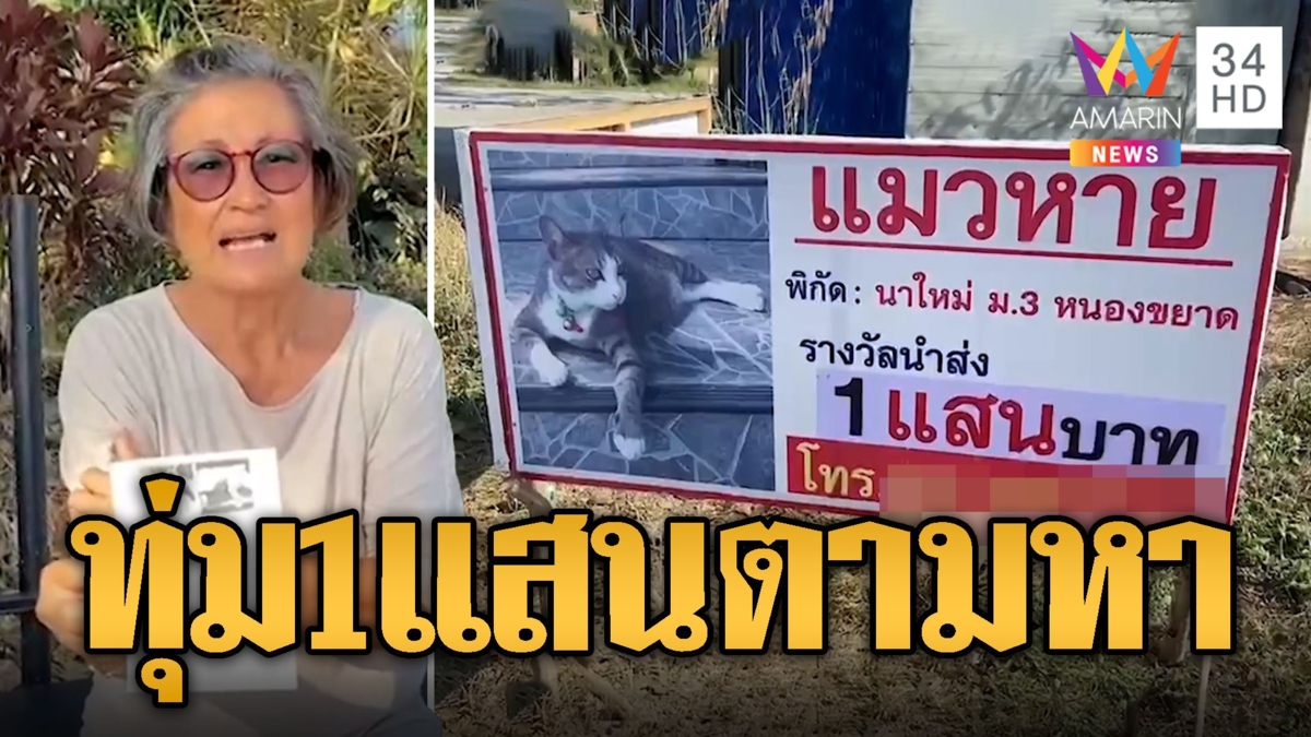 ตายายประกาศตามหา "เหมียวเหมียว" แมวสุดที่รักหาย ตั้งเงินรางวัล 1 แสน