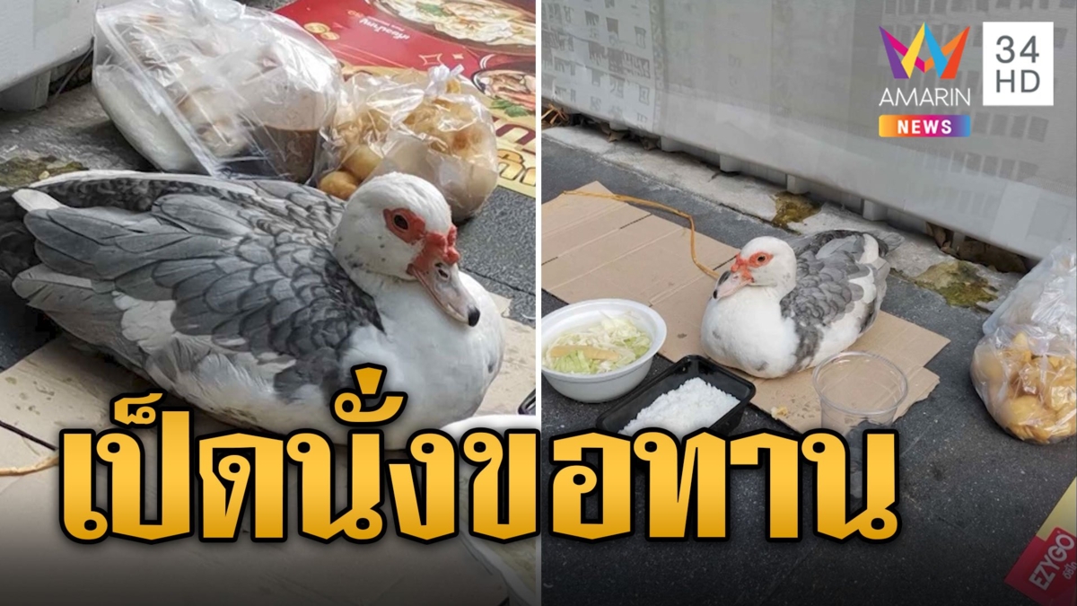 จับแล้ว หนุ่มขี้เมาล่ามเป็ดนั่งขอทานข้างถนน