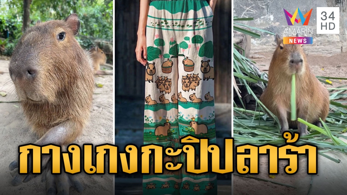 เปิดตัวกางเกงกะปิปลาร้า ซอฟต์พาวเวอร์เขาเขียว คนแห่จองเพียบ