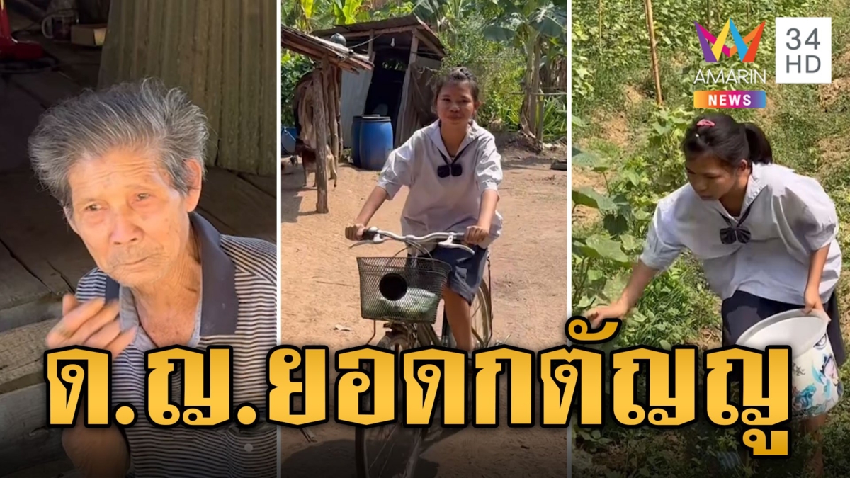 ชื่นชมเด็กหญิง ป.6 ยอดกตัญญู เก็บแตงกวาขายหาเงินดูแลปู่