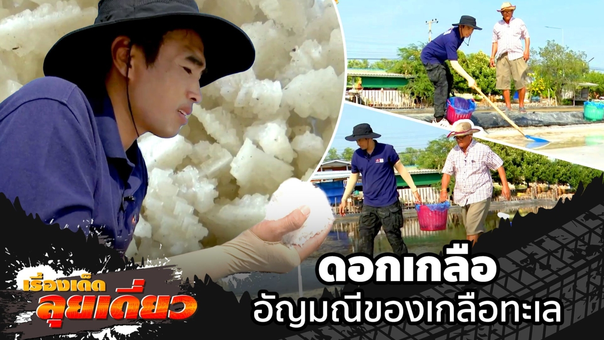 เรื่องเด็ดลุยเดี่ยว | "ดอกเกลือ" อัญมณีของเกลือทะเล จ.สมุทรสาคร