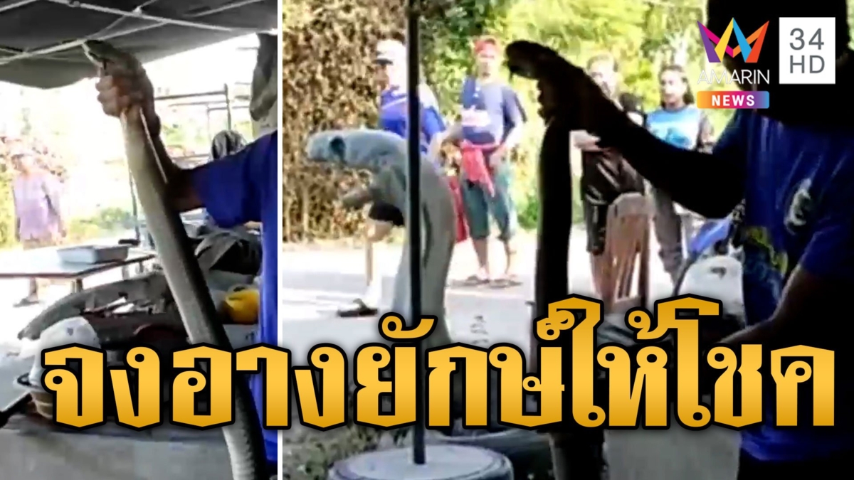 สาวบูชางูผงะ บองหลา 4 เมตรเข้าบ้าน เชื่อมาให้โชค